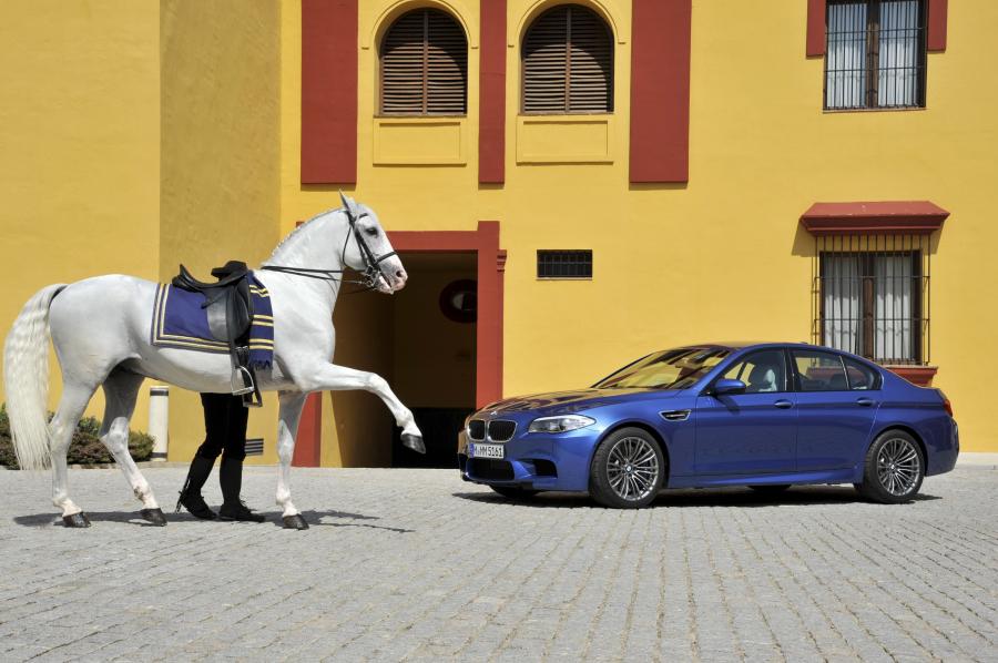  BMW M5 2011 года  (фото 71 из 344)
